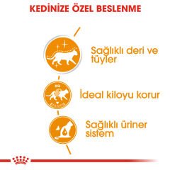 Royal Canin Intense Beauty Kedi Konservesi 85Gr
