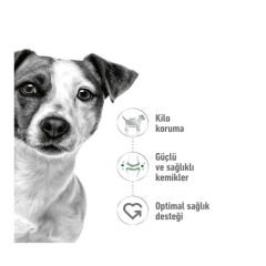 Royal Canin Mini Adult Yetişkin Köpek Maması 8Kg