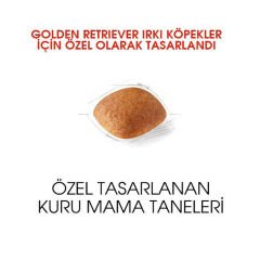 Royal Canin Golden Retriever Köpek Maması 12Kg