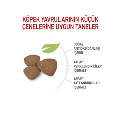 Royal Canin Mini Junior Küçük Irk Yavru Köpek Maması 2Kg