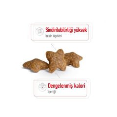 Royal Canin Mini Adult Yetişkin Köpek Maması 4Kg