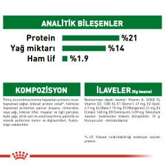 Royal Canin Mini İndoor Adult Köpek Maması 1,5 kg