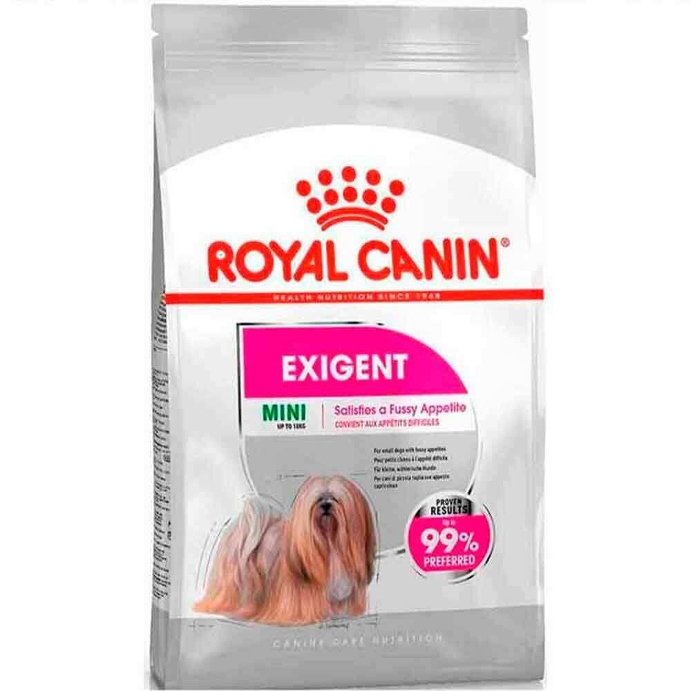 Royal Canin Mini Exigent Küçük Irk Seçici Köpekler İçin Kuru Mama 3 Kg