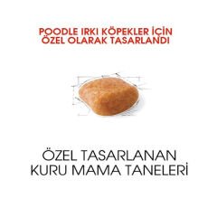 Royal Canin Poodle Yetişkin Köpek Maması 3 kg