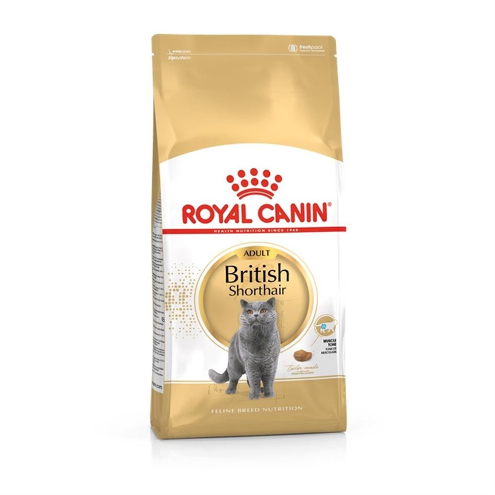 Royal Canin British Shorthair Kedi Maması 10 kg