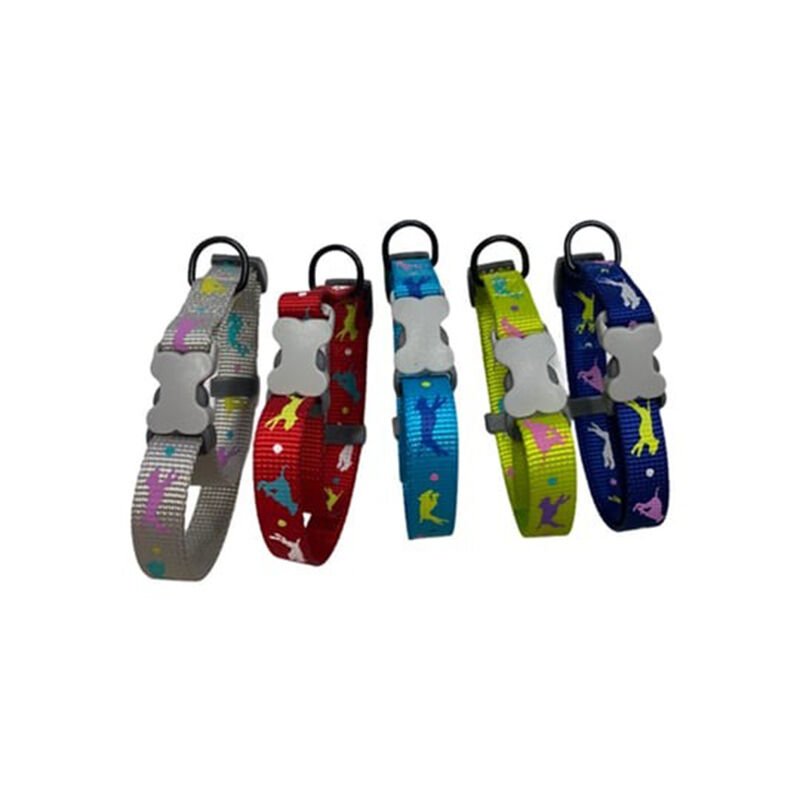 Nunbell Boyun Tasması