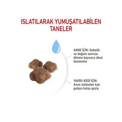 Royal Canin Babycat Yavru Kedi Maması 400Gr