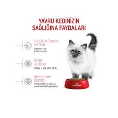 Royal Canin Kitten Yavru Kedi Maması 4Kg