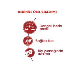 Royal Canin Fit Kedi Maması 4Kg
