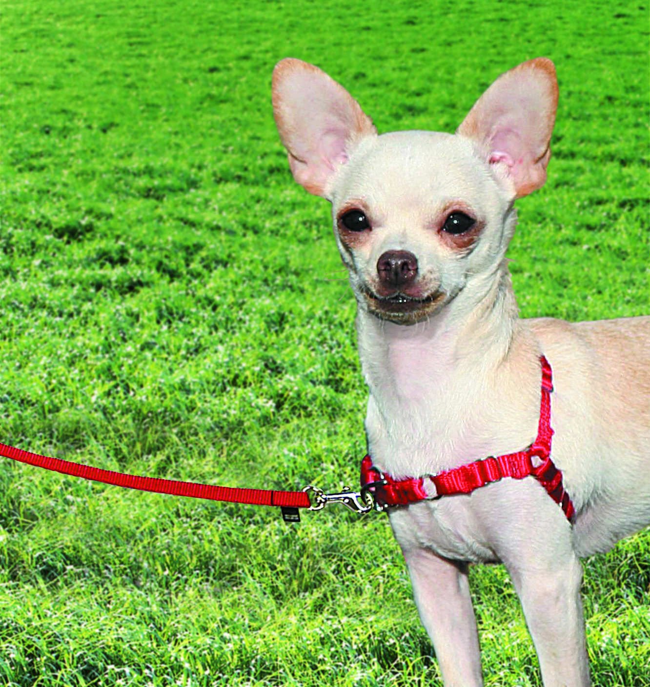 PetSafe Easy Walk Harness Kırmızı Köpek Göğüs Tasması XSmall 30-40 cm