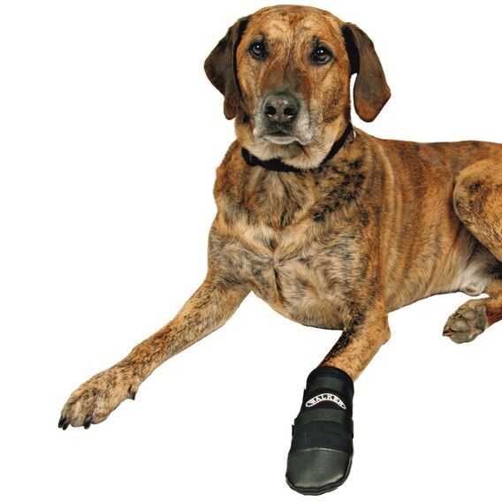 Trixie Walker Köpek Neopren Patiği 2 Adet XXLarge Siyah