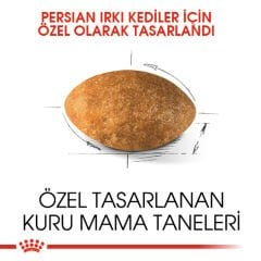 Royal Canin Persian Kedi Maması 10Kg