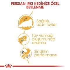 Royal Canin Persian Kedi Maması 10Kg