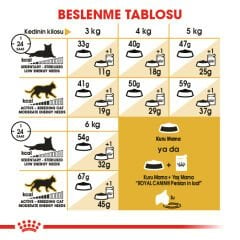 Royal Canin Persian Kedi Maması 10Kg