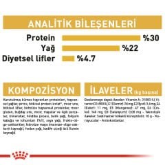 Royal Canin Persian Kedi Maması 10Kg