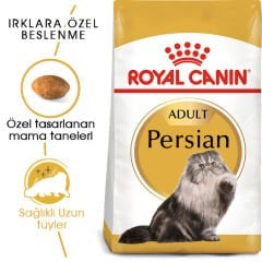 Royal Canin Persian Kedi Maması 10Kg