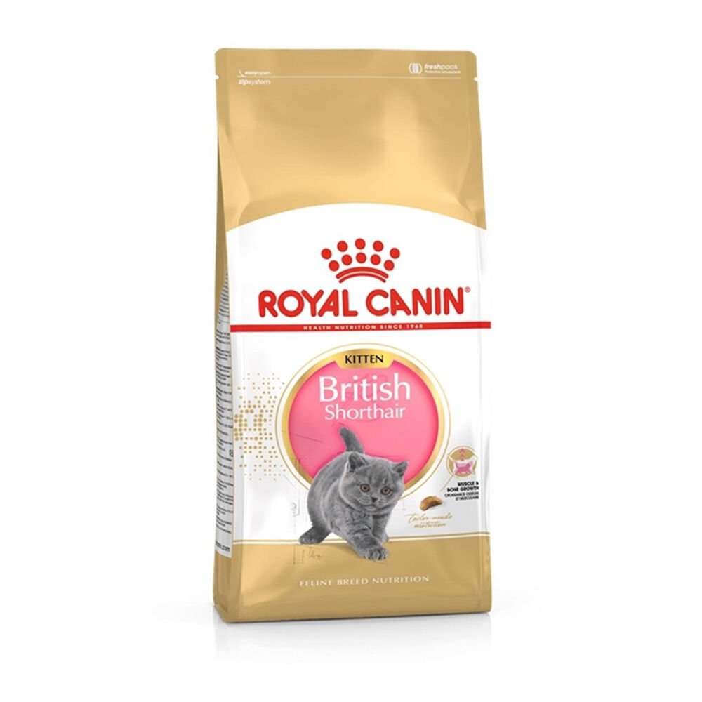 Royal Canin Kitten British Shorthair Yavru Kedi Maması 2Kg