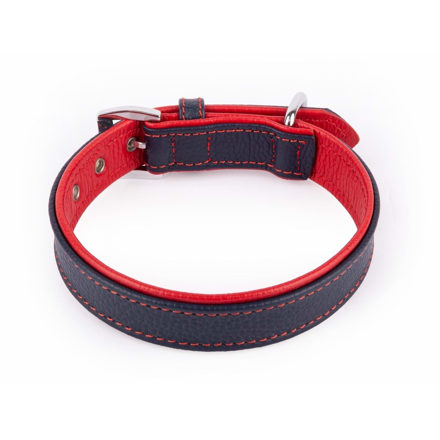 Flother Xxs 2,5 Cm Tasma Navy Red