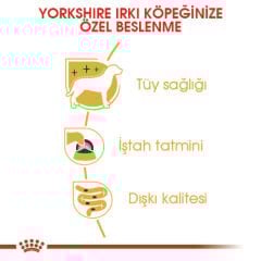 Royal Canin Yorkshire Köpek Konservesi 85 gr