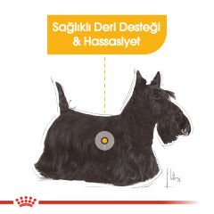 Royal Canin Dermacomfort Hassas Yetişkin Köpek Pouch Konserve 85 Gr