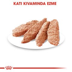 Royal Canin Dermacomfort Hassas Yetişkin Köpek Pouch Konserve 85 Gr